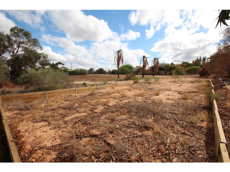 53 MURTHO ROAD, Paringa SA 5340
