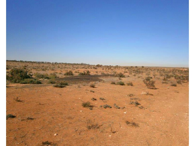 Sect. 15 Taylorville Road, Waikerie SA 5330