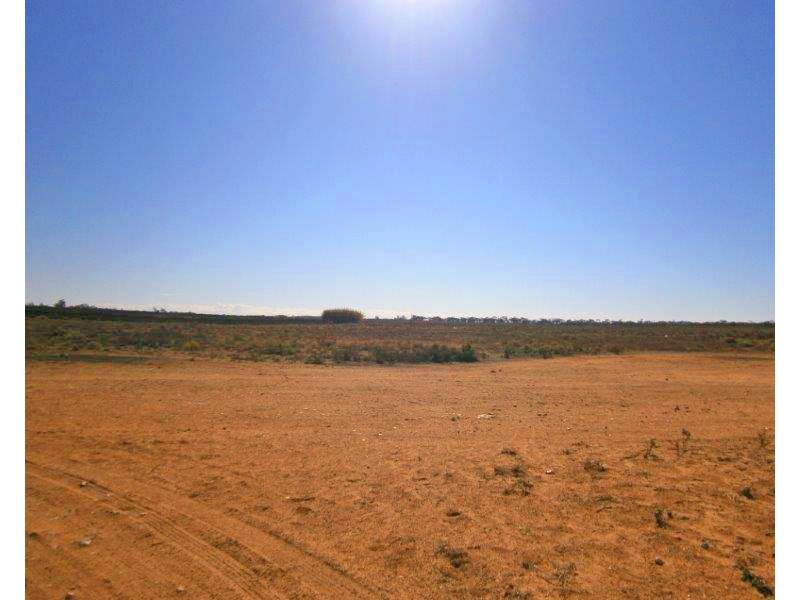 Sect. 15 Taylorville Road, Waikerie SA 5330