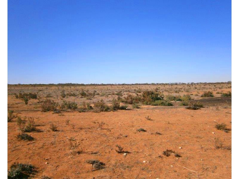 Sect. 15 Taylorville Road, Waikerie SA 5330