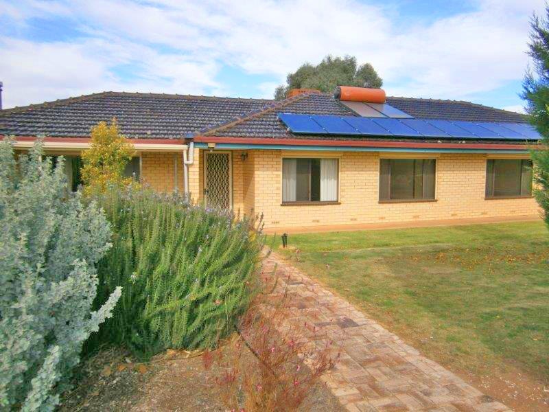 12614 Sturt Highway, Waikerie SA 5330