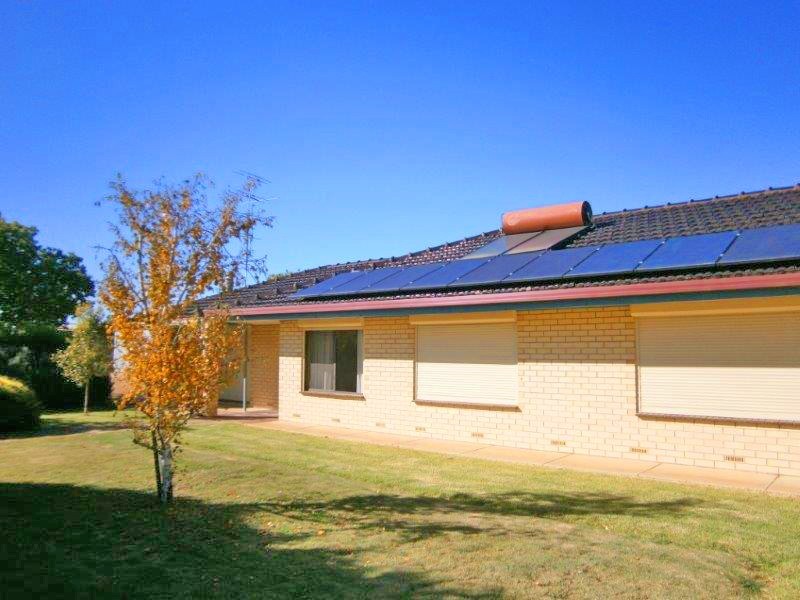 12614 Sturt Highway, Waikerie SA 5330