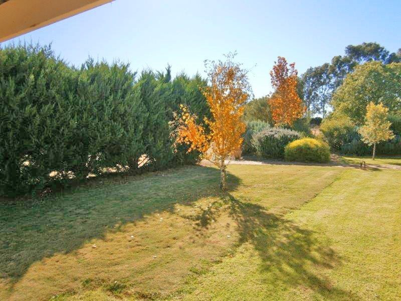 12614 Sturt Highway, Waikerie SA 5330