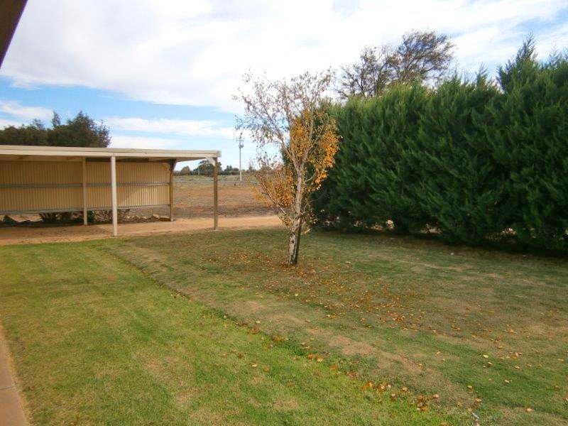 12614 Sturt Highway, Waikerie SA 5330