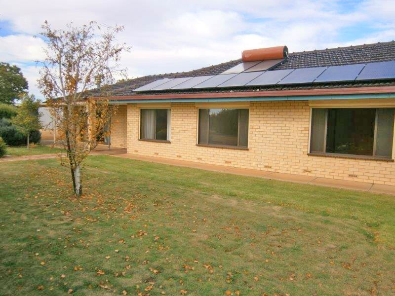 12614 Sturt Highway, Waikerie SA 5330