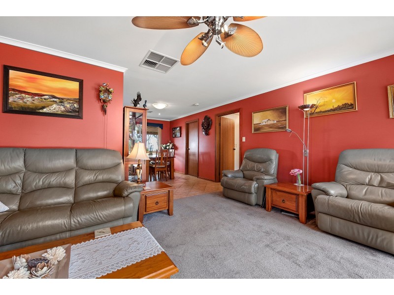 17301 Sturt Highway, Barmera SA 5345