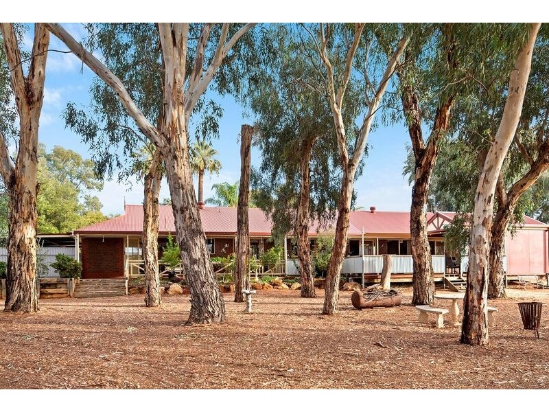 17301 Sturt Highway, Barmera SA 5345