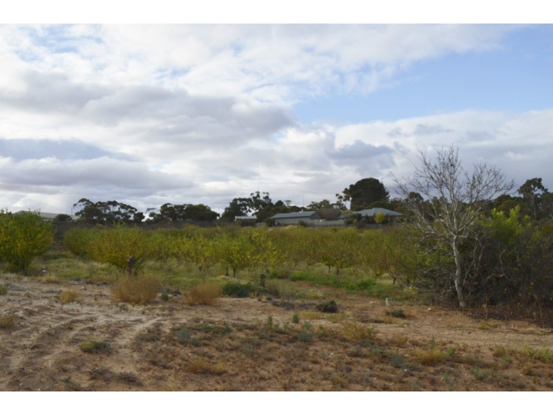 Lot 76 Jarvis Street, Berri SA 5343