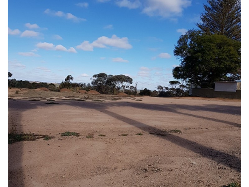 Section 1419, Old Sturt Highway, Berri SA 5343