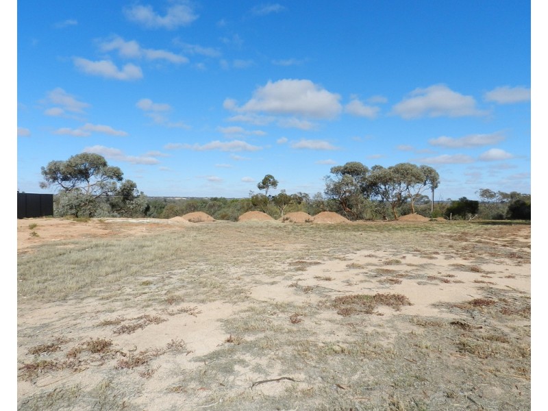 Section 1419, Old Sturt Highway, Berri SA 5343