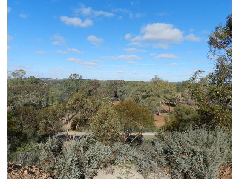 Section 1419, Old Sturt Highway, Berri SA 5343