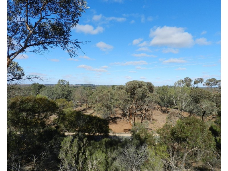 Section 1419, Old Sturt Highway, Berri SA 5343