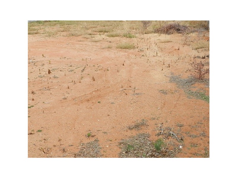 5 Dickerson Street, Barmera SA 5345