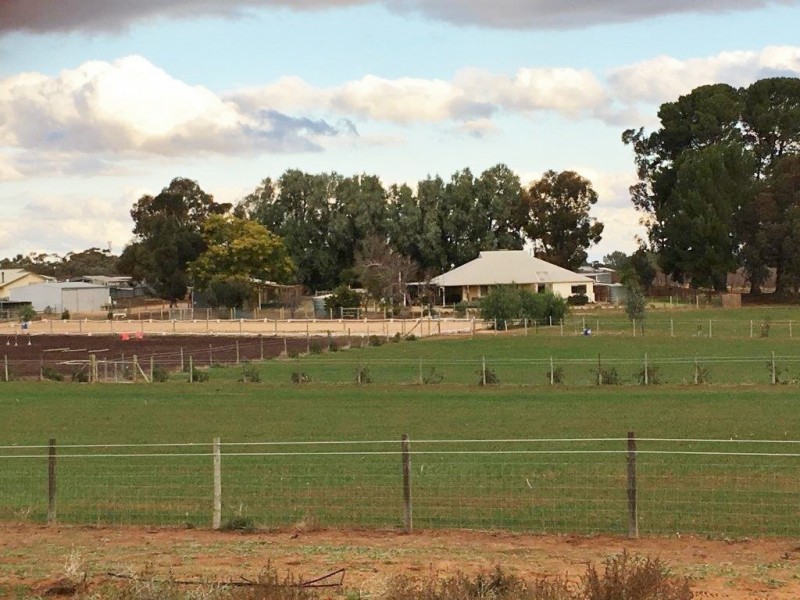 61 Moss Road, Monash SA 5342