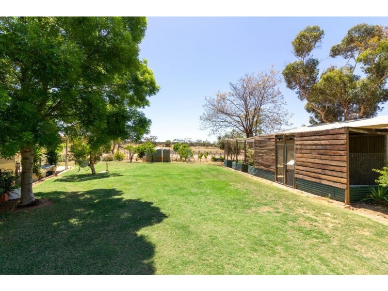 61 Moss Road, Monash SA 5342