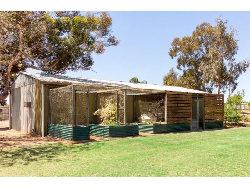 61 Moss Road, Monash SA 5342