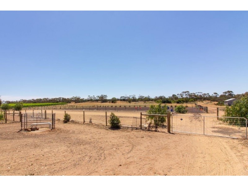 61 Moss Road, Monash SA 5342