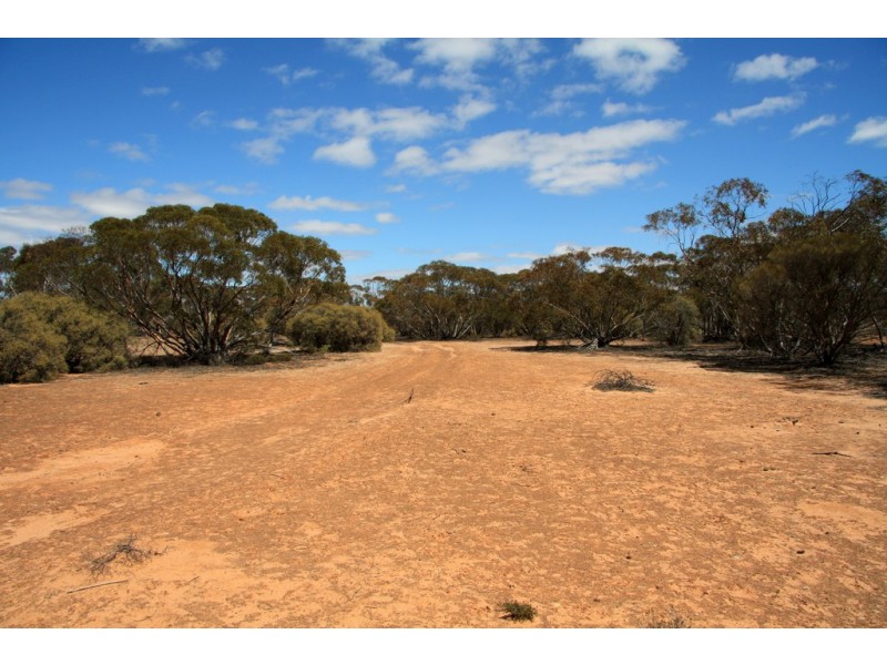 Sec 20 and Lot 202 Billiatt Road, Alawoona SA 5311