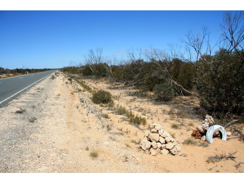 Sec 20 and Lot 202 Billiatt Road, Alawoona SA 5311