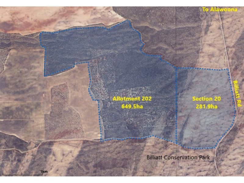 Sec 20 and Lot 202 Billiatt Road, Alawoona SA 5311