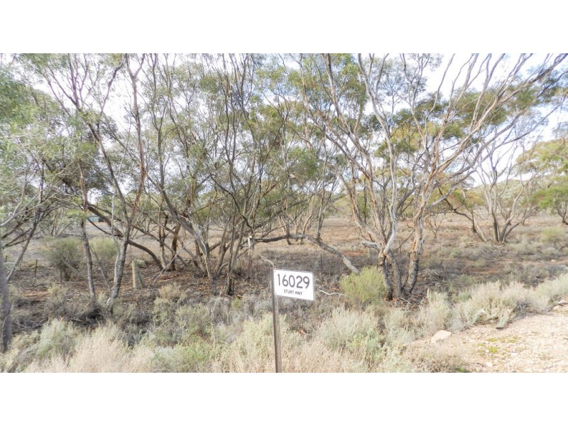 16029 (Lot 1) Sturt Highway, Kingston On Murray SA 5331