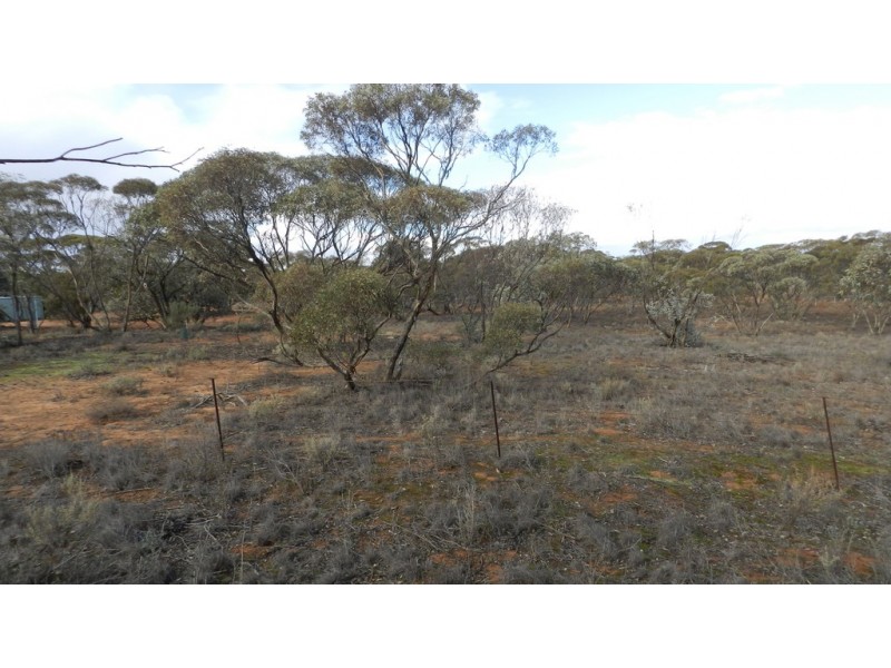 16029 (Lot 1) Sturt Highway, Kingston On Murray SA 5331