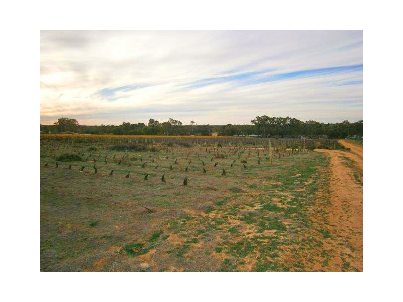 466 Holmes Road, Kingston On Murray SA 5331