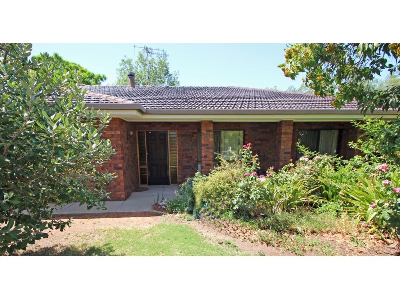 186 Goolwa Street, Renmark SA 5341