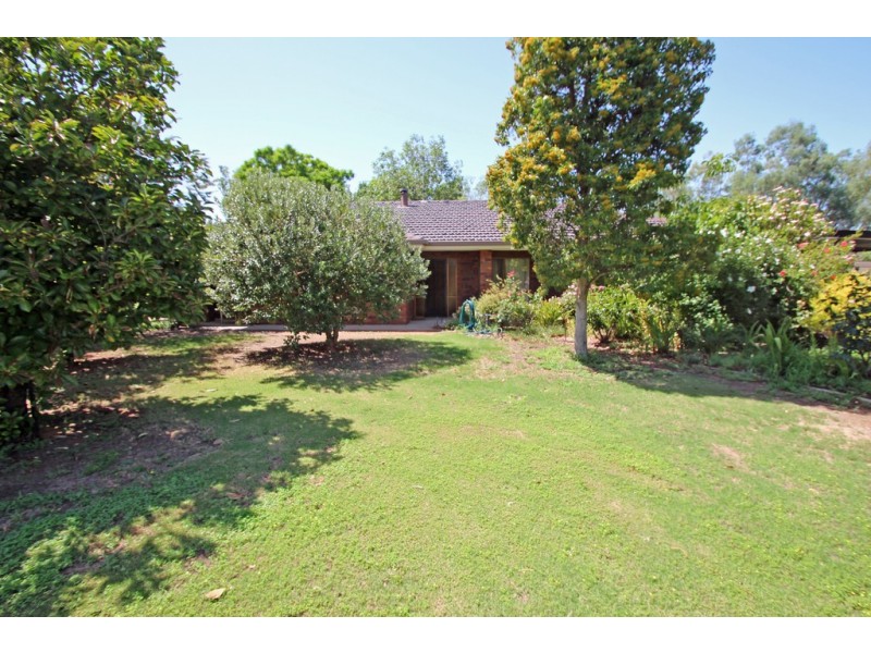 186 Goolwa Street, Renmark SA 5341