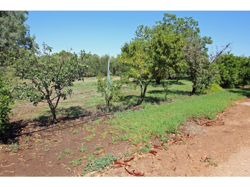 186 Goolwa Street, Renmark SA 5341