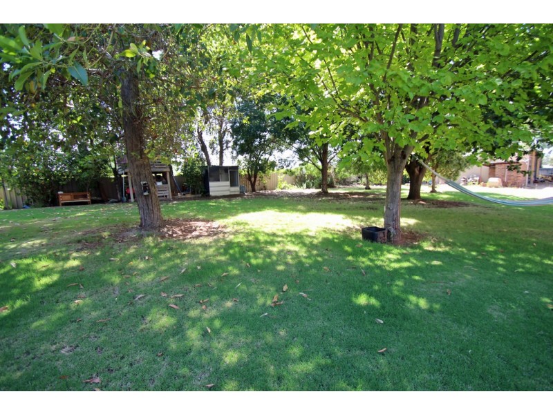 186 Goolwa Street, Renmark SA 5341