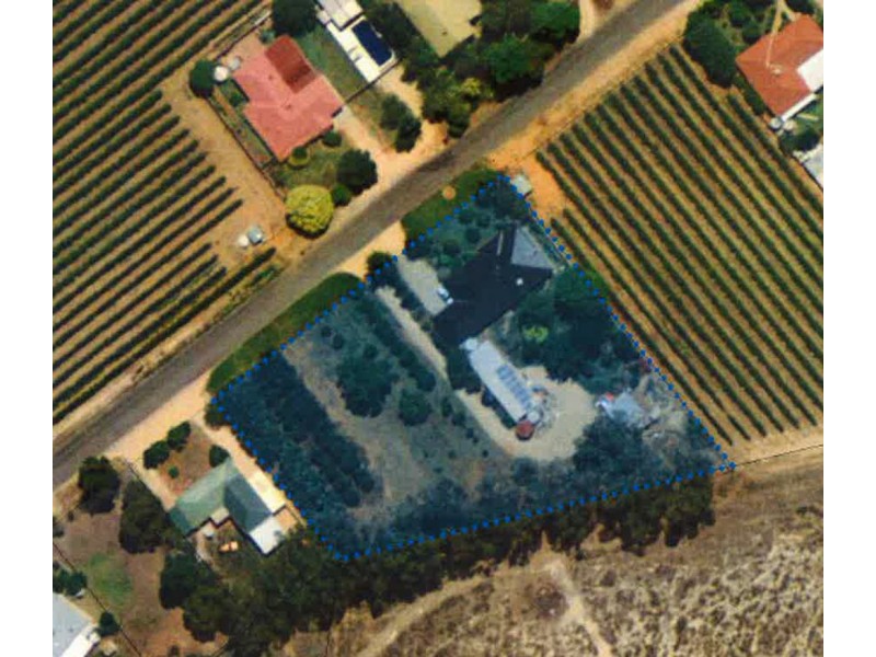 186 Goolwa Street, Renmark SA 5341