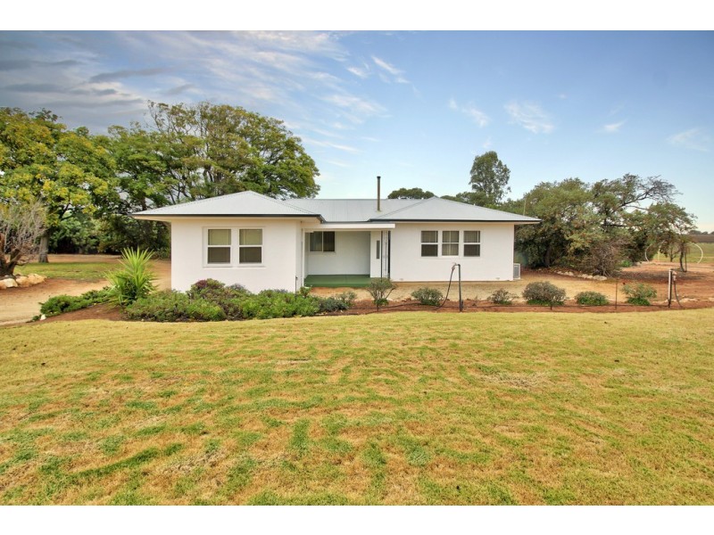 261 Kibby Road, Loxton SA 5333