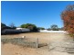 8 Baynes Street, Barmera SA 5345