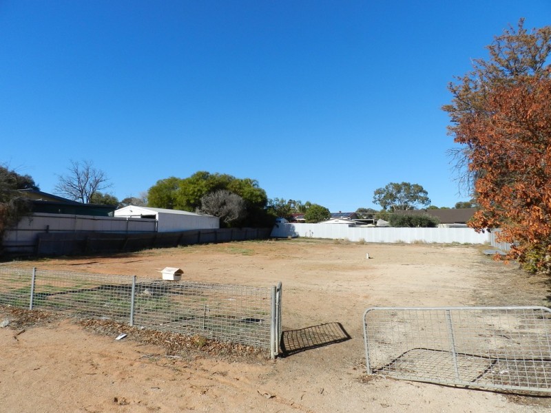 8 Baynes Street, Barmera SA 5345