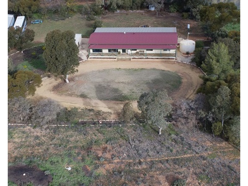 151 Battams Road, Moorook SA 5332