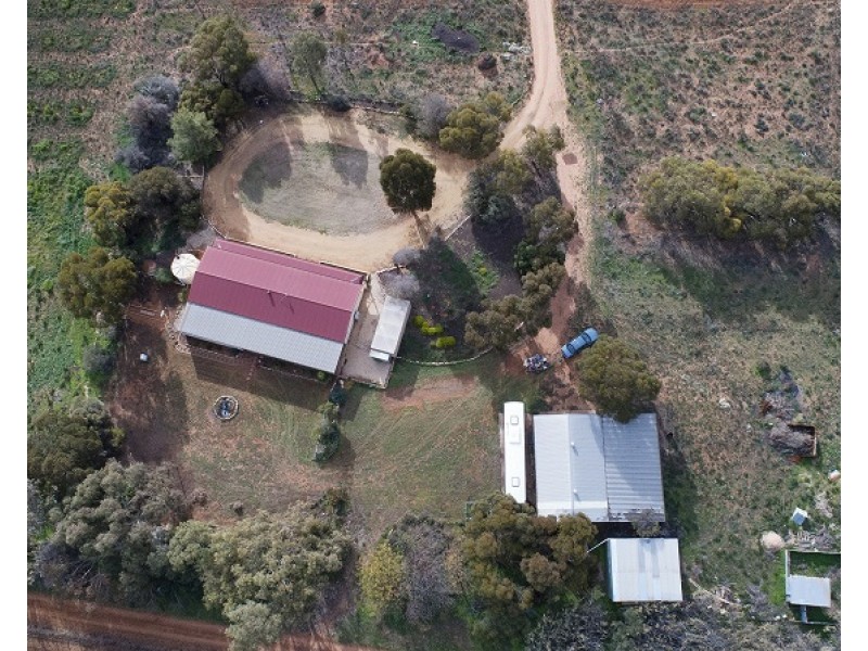 151 Battams Road, Moorook SA 5332