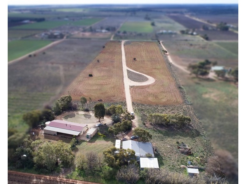 151 Battams Road, Moorook SA 5332