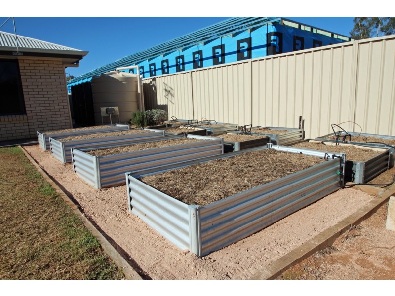 55 Flinders Street, Renmark SA 5341