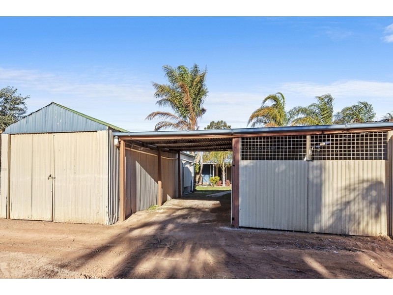 56 Eleventh Street, Renmark SA 5341