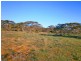 Section 113 Sturt Highway, Blanchetown SA 5357