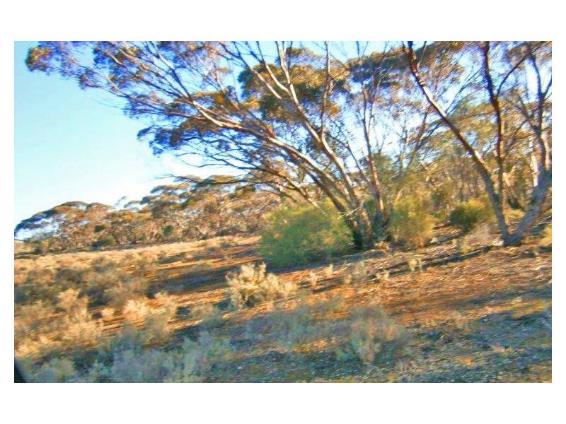 Section 113 Sturt Highway, Blanchetown SA 5357