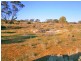 Section 113 Sturt Highway, Blanchetown SA 5357
