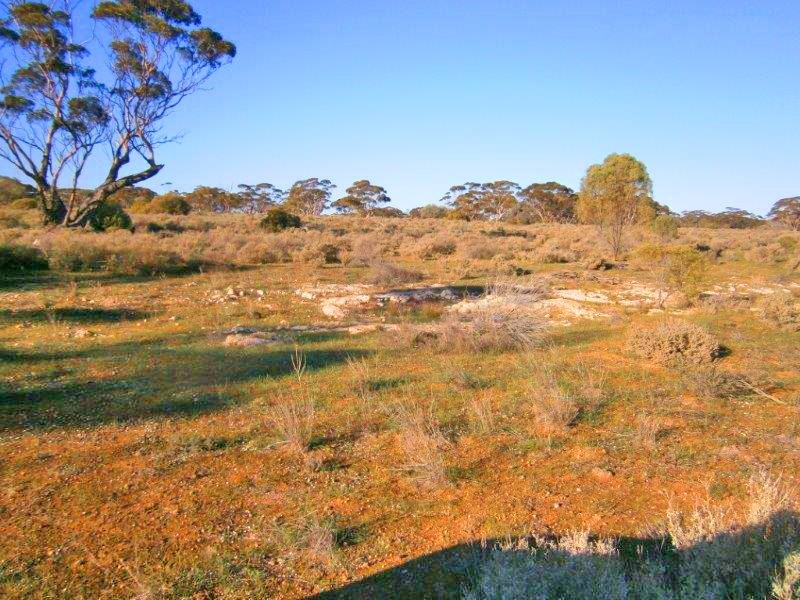 Section 113 Sturt Highway, Blanchetown SA 5357