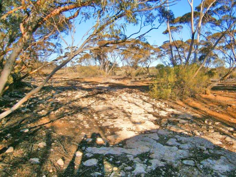 Section 113 Sturt Highway, Blanchetown SA 5357