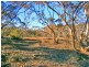 Section 113 Sturt Highway, Blanchetown SA 5357