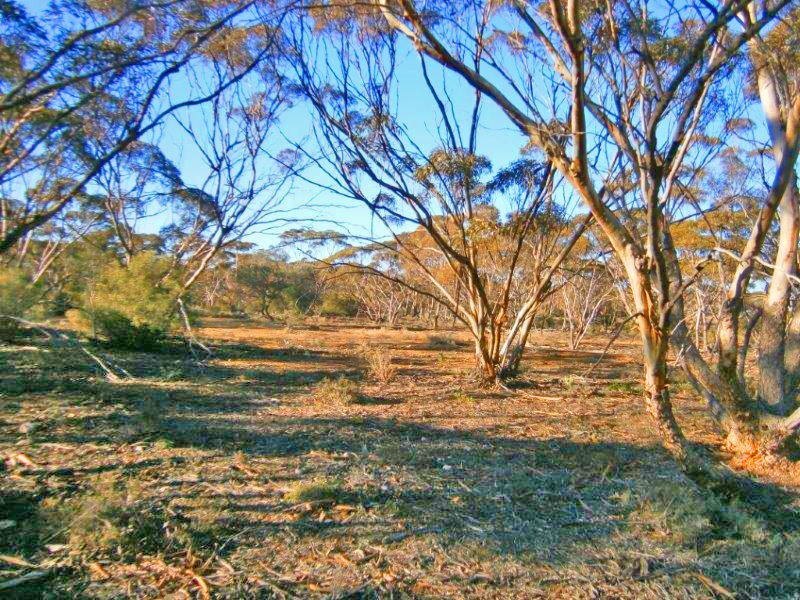 Section 113 Sturt Highway, Blanchetown SA 5357
