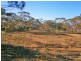 Section 113 Sturt Highway, Blanchetown SA 5357