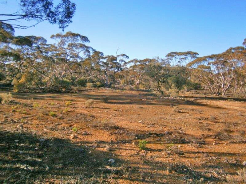 Section 113 Sturt Highway, Blanchetown SA 5357