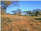 Section 113 Sturt Highway, Blanchetown SA 5357